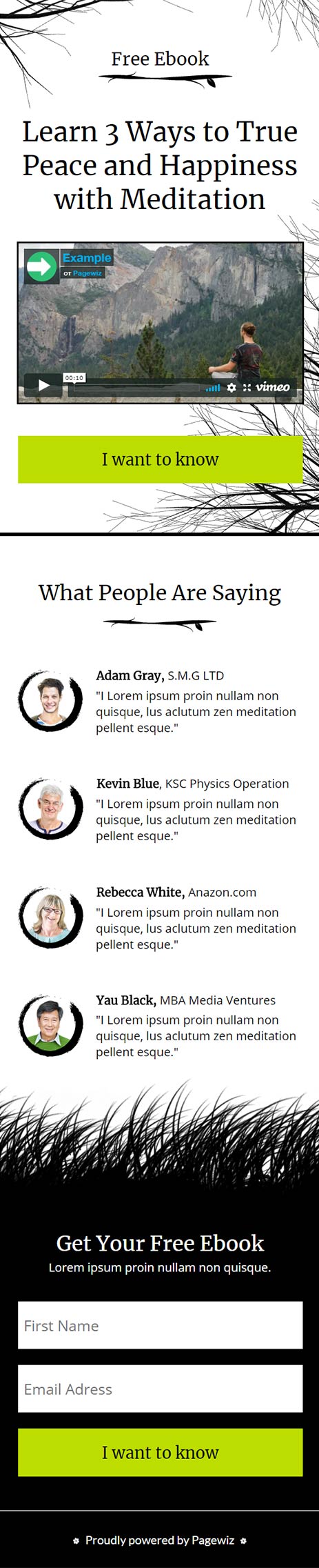 Landing page template: Zen ebook